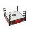 Hrací set WWE Superstar Ring1