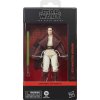 Figurka Star Wars The Black Series The Acolyte Jedi Master Indara