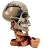 Dekorace Metallica Pushead Skull 23cm