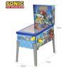 Hra Pinball Sonic the Hedgehog2