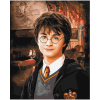 Malování podle čísel Harry Potter 40x50cm