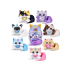 Překvapení Rainbocorns Kittycorn1