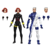 Figurky Marvel The Avengers Black Widow a Quicksilver 15cm1