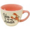 Merch Hrníček Friends Lobser 3D