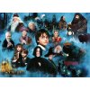Merch Puzzle Harry Potter The World of Harry Potter 1000 dílků1