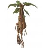 Toys Harry Potter Mandrake Electronic Interactive Plush 40cm1