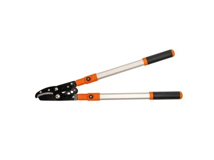 23558 xt93851 20260323 0723