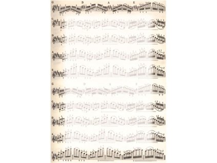 Images%5CCatalog%5CImg600%5C910 486 b9f9dd140d7449f3981e3d8e62dad137