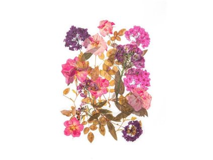 Images%5CCatalog%5CImg600%5C910 613 6cdf64e93a03453aa9c5c2625f9fef09