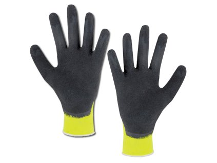 5704 JAV8007 20221213 0829