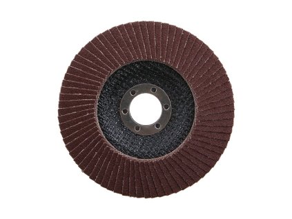 Kotouč lamelový 125mm P100