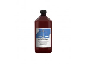 118 davines naturaltech rebalancing shampoo 1000ml