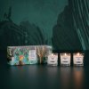 candle 2