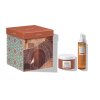 12677 THE OCHRE CITY zenitale