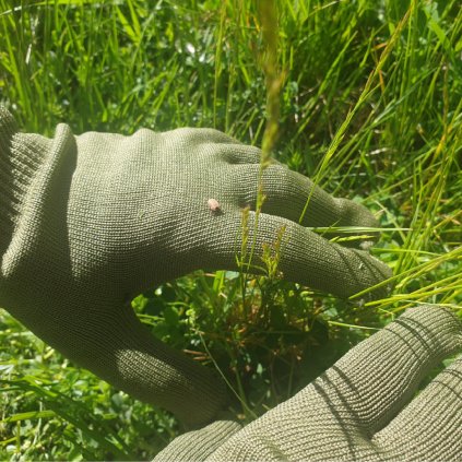 employee of the month (7)