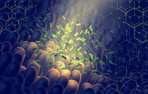 Autofagie – Co říká věda?