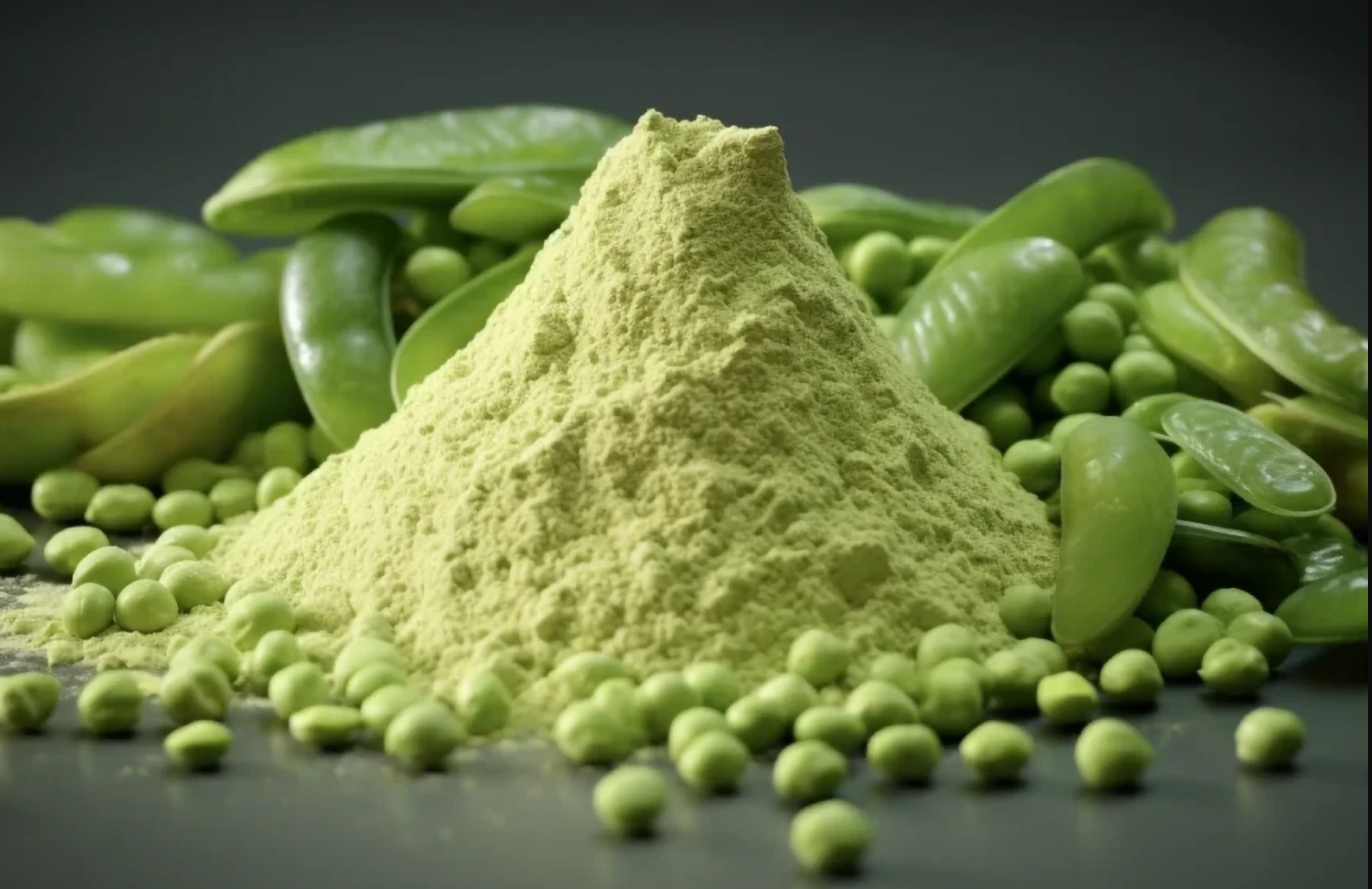 Rozdíl mezi veganskými a rostlinnými proteinovými prášky