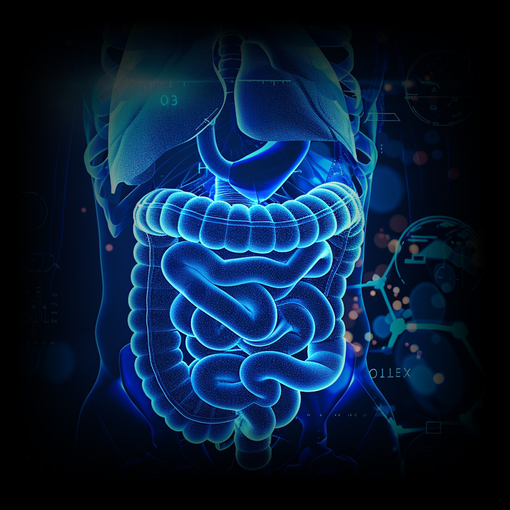 Optimální absorpce