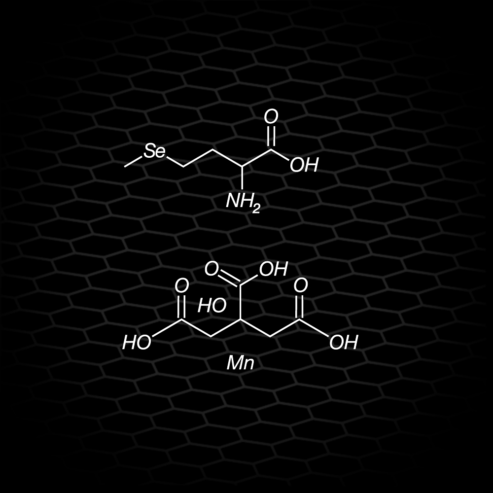 Chelátové minerály – maximální vstřebatelnost