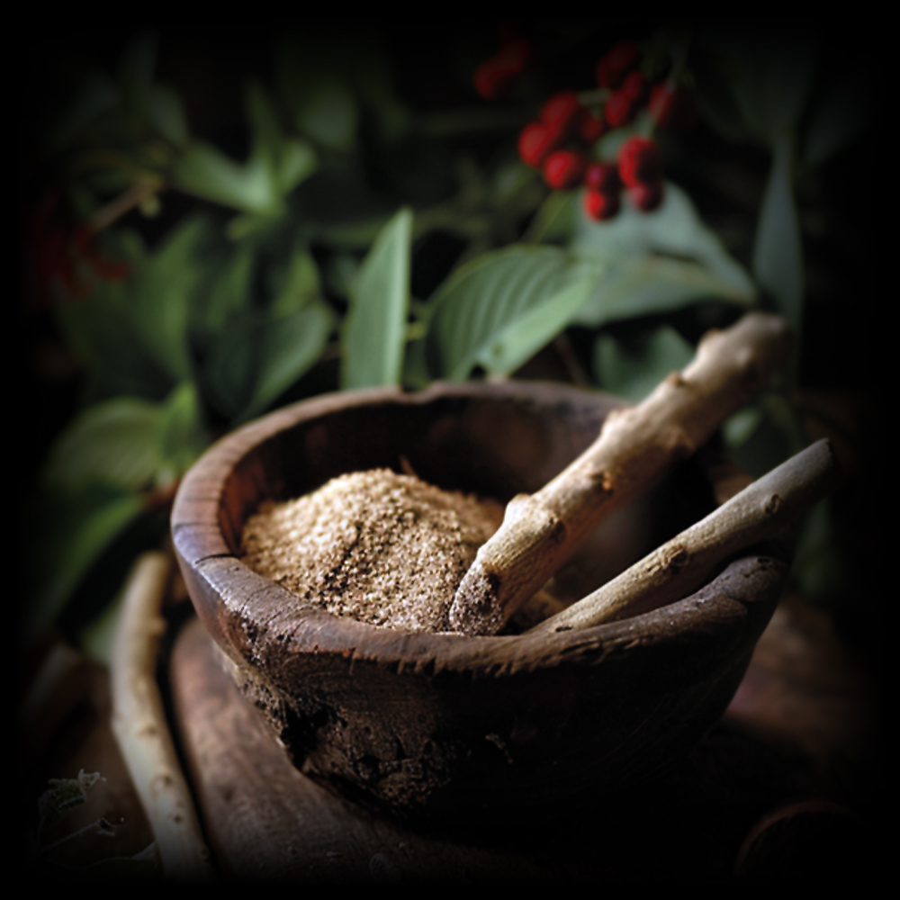 Zvládání stresu – ASHWAGANDHA KSM-66®