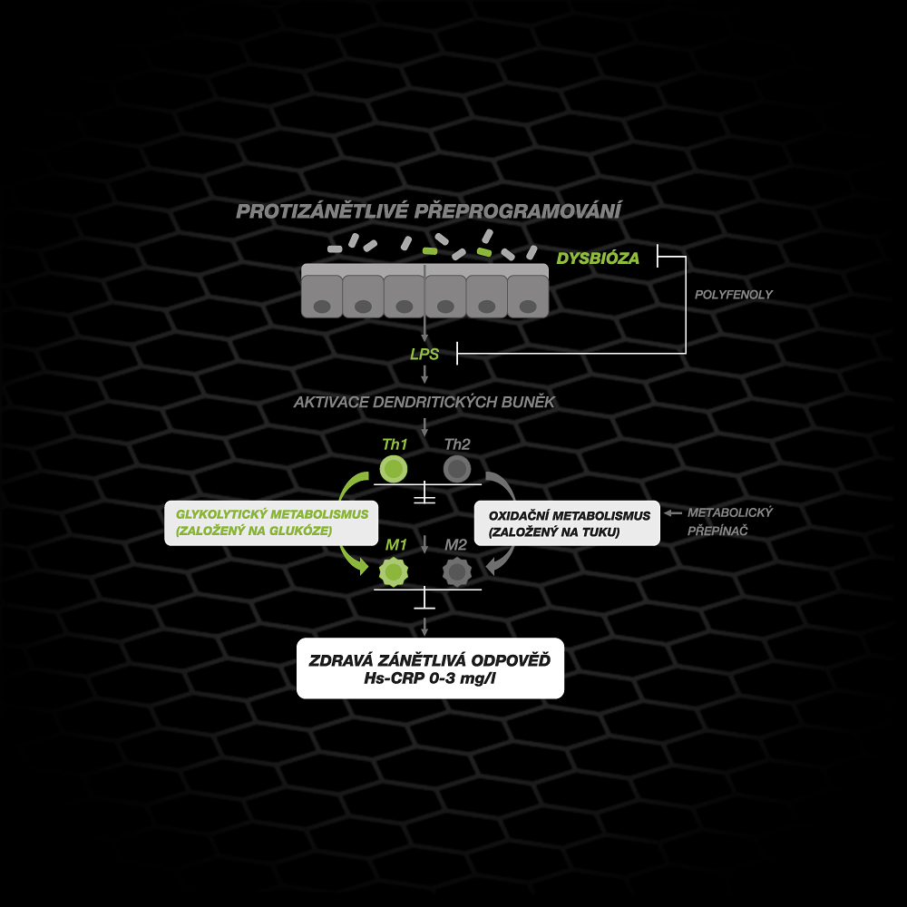 Protizánětlivé složky