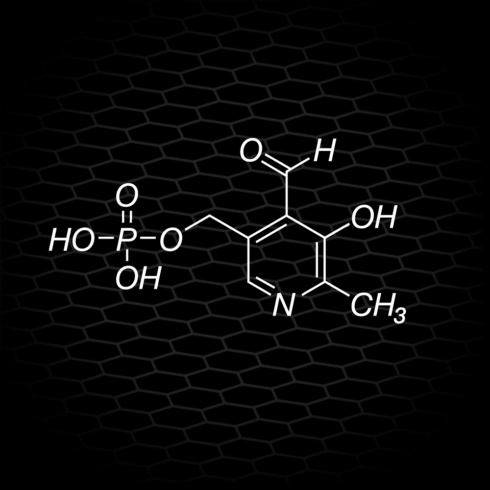 Pyridoxal-5'-Phosphate – Unikátní synergista pro hořčík