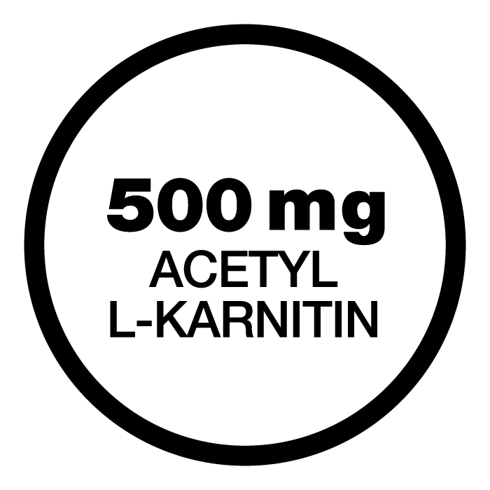 500 mg ACETYL L-KARNITINU