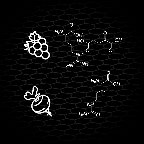 Pod drobnohledem aneb L-Citrulin Malát a L-Arginin alfa-ketoglutarát v dokonalé synergii