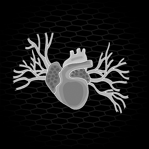 Oxid dusnatý, zázračná molekula pro zdraví i výkon