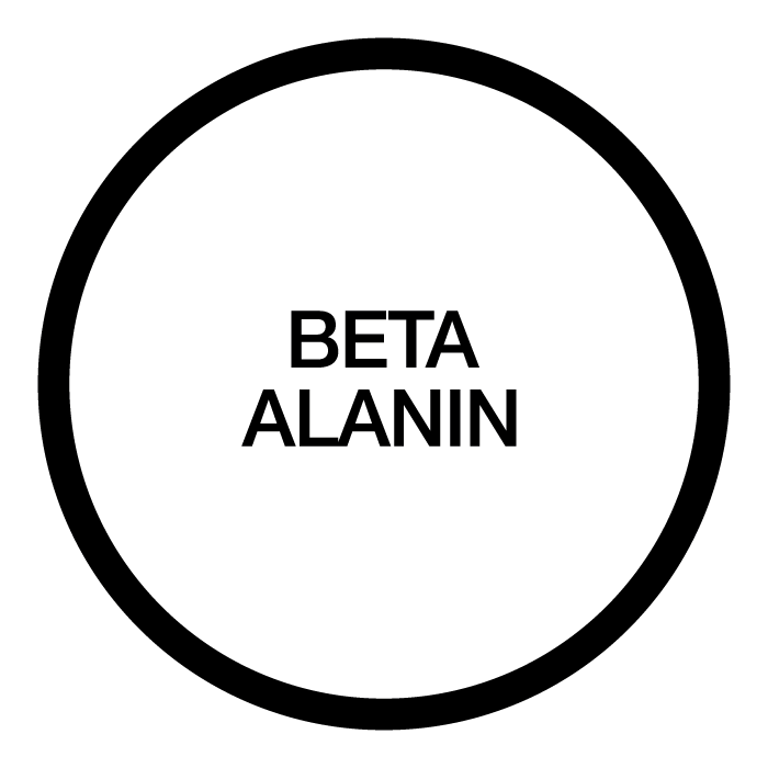 Beta Alanin