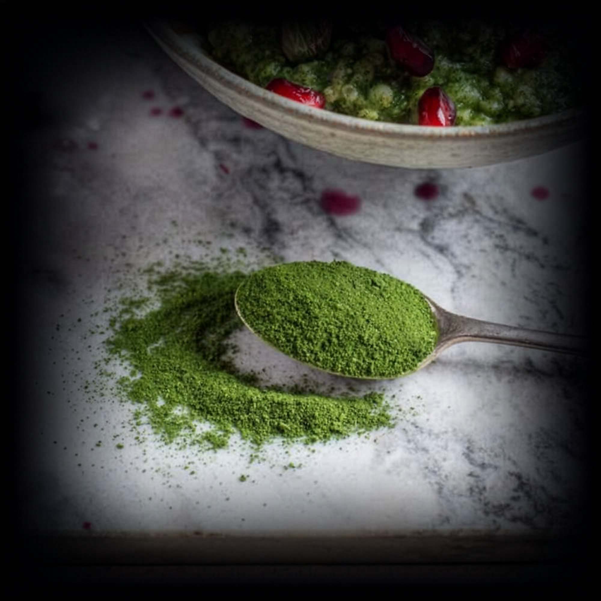 PROM-IN GREEN ELIXIR PRO+ komplexní směs mikrořas rostlinných extraktů a adaptogenů