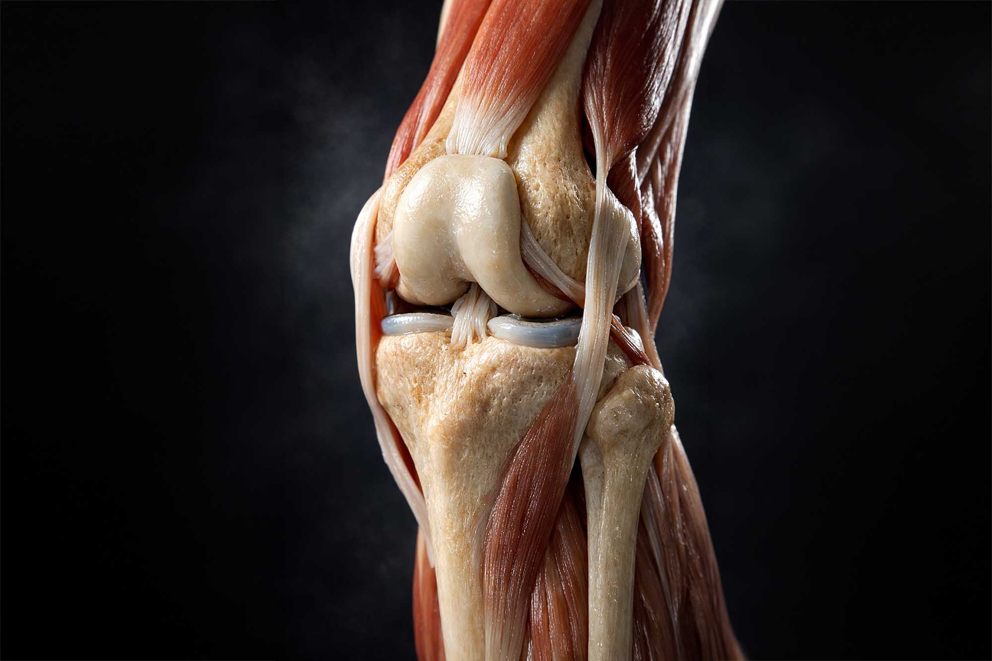 PROM-IN JOINT BLEND komplexní kloubní výživa v tabletách pro sportovce