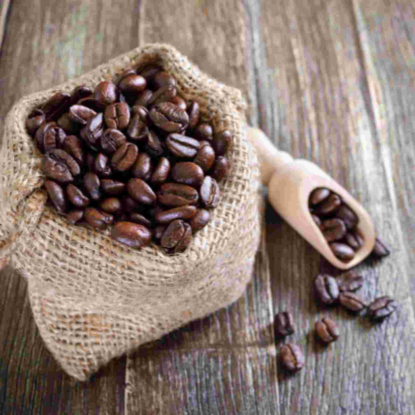 Arabica vs. Robusta: Jaký je mezi nimi rozdíl?