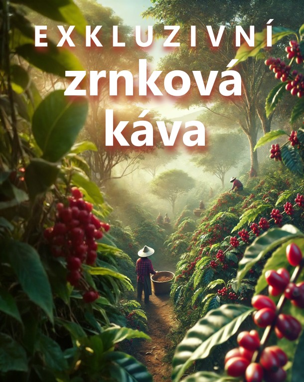 Exkluzivní zrnková káva