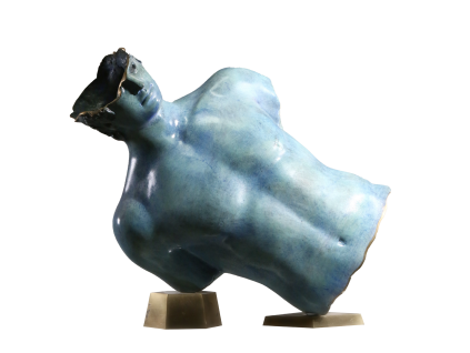 torso