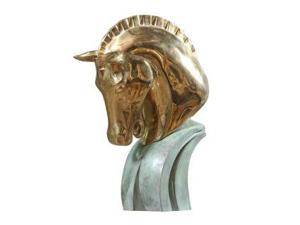 testa cavallo