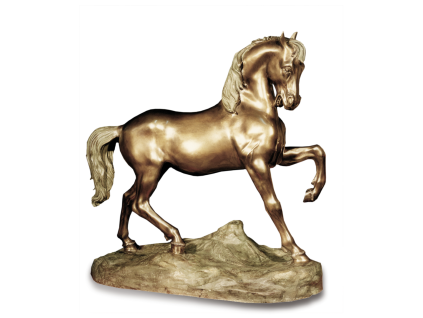 cavalo selva