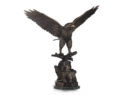 aquila