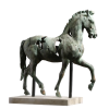 cavallo