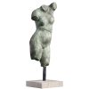 dorso di donna