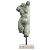 dorso di donna