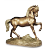 cavalo selva