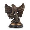 aquila reale