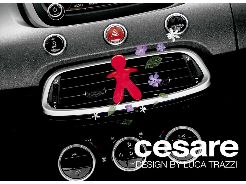 Osvěžovač Mr&Mrs Fragrance CESARE Fresh Air Compass AMJCESBS01