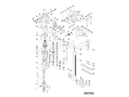 Pásek B DEDRA XDED7622.071