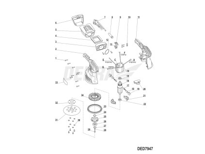 Rotor DEDRA XDED7947.16