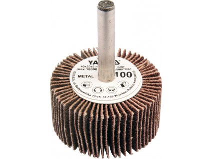Kotouč lamelový radiální 40x20 P-100 s hřídelí 6 mm
