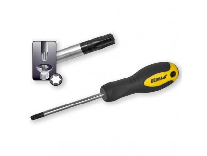 Šroubovák Torx T 25x100 mm
