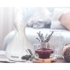 Aroma difuzer Vulcan bílé dřevo 350ml