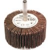 Kotouč lamelový radiální 60x30 P-60 s hřídelí 6 mm